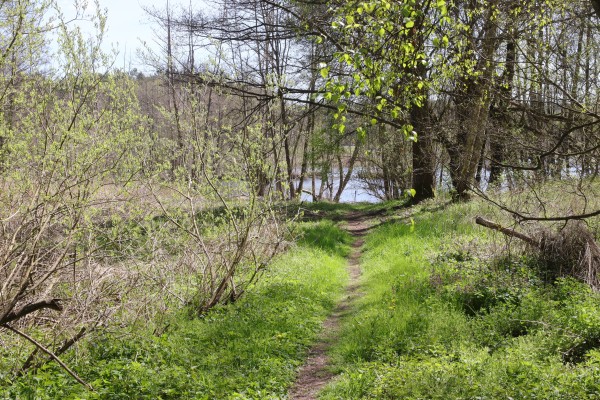 Paradiesseeweg