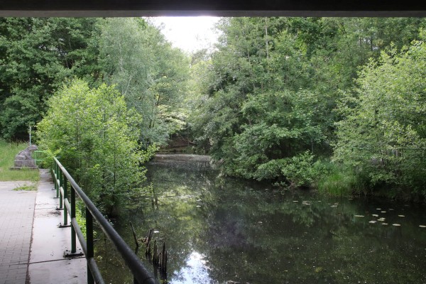 Froschbrücke
