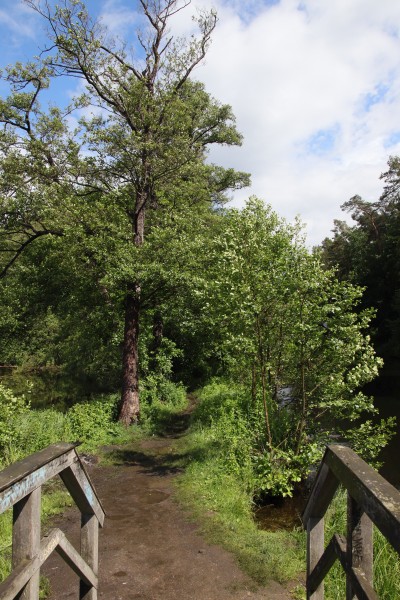 Brücke