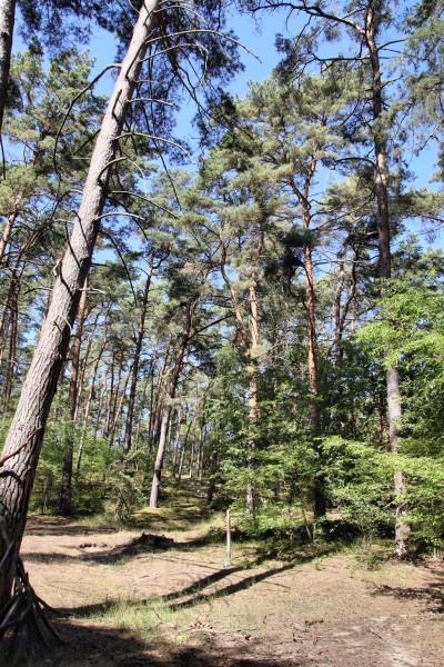 Falkenhagener Alpen