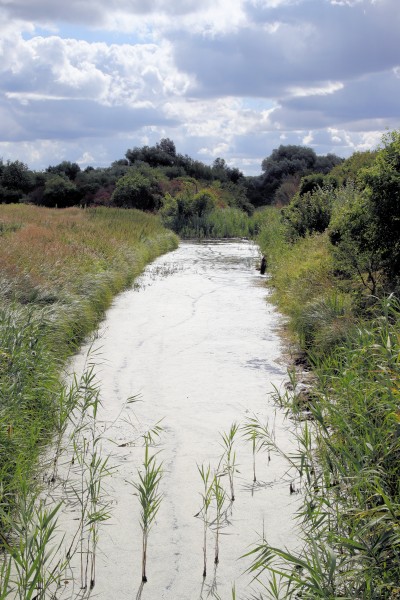 Nieder-Neuendorfer-Kanal