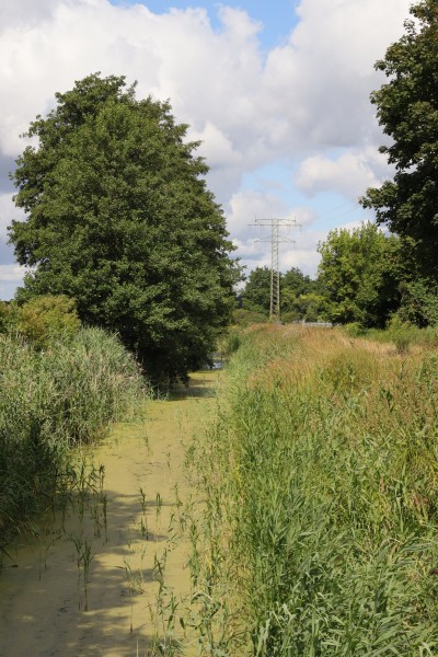 Nieder-Neuendorfer-Kanal