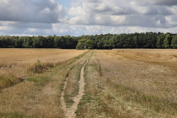Teufelsbruchwiesen