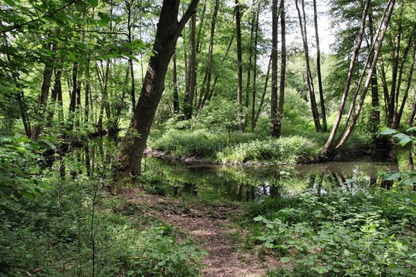 Löcknitztalweg