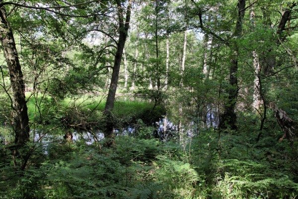 Löcknitztalweg