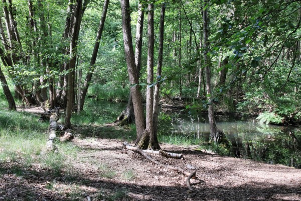 Löcknitztalweg