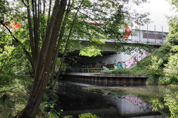 Froschbrücke