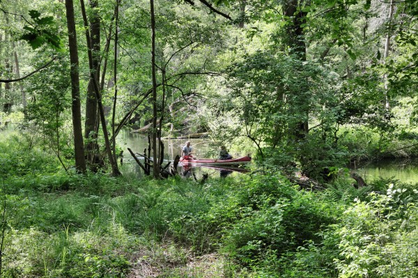 Löcknitz