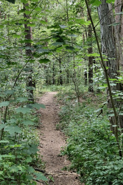 Löcknitztalweg