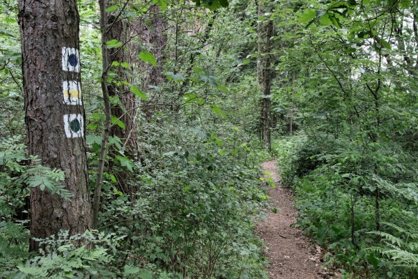 Löcknitztalweg