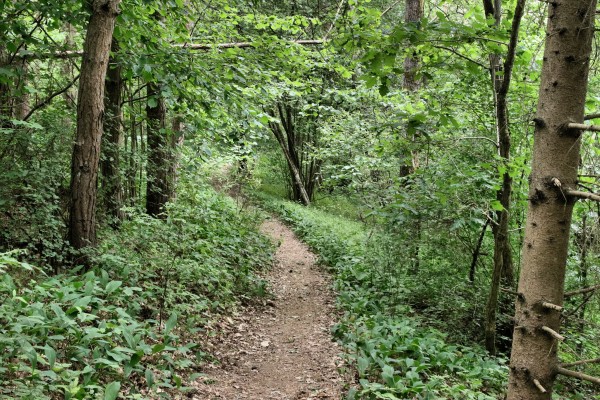 Löcknitztalweg
