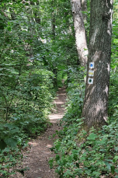 Löcknitztalweg