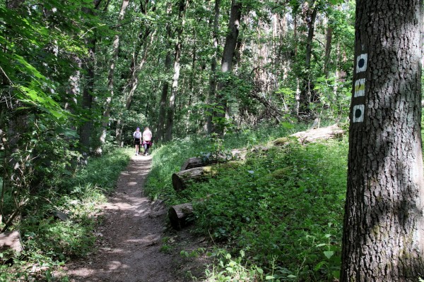 Löcknitztalweg