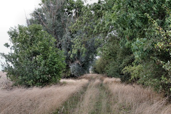 Feldweg