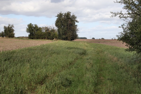 Feldweg