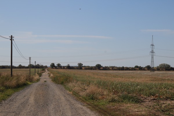 Feldweg