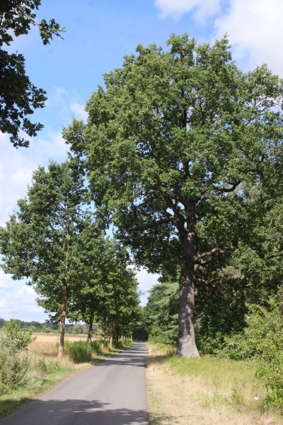 Schleusenstraße