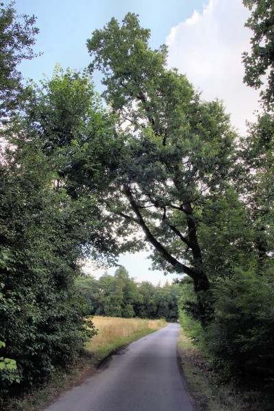 Schleusenstraße