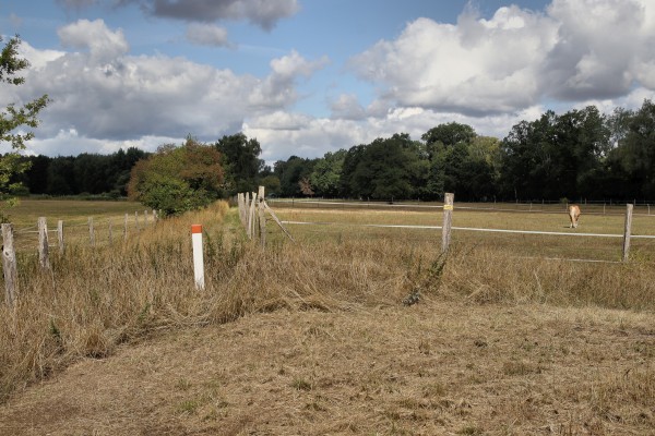 Teufelsbruchwiesen