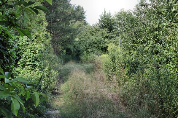 Uferweg