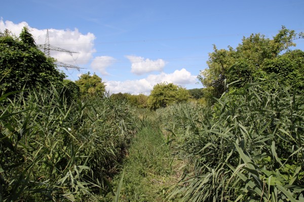 Uferweg