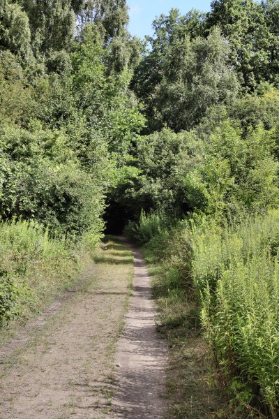 Feldweg