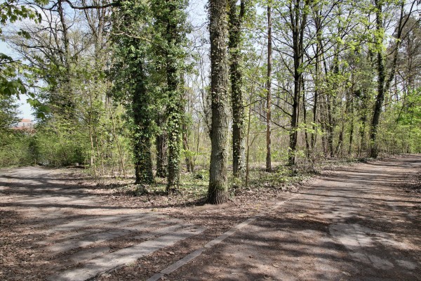 Seepromenade