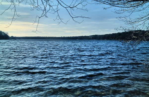 Straussee