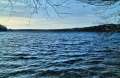 Straussee