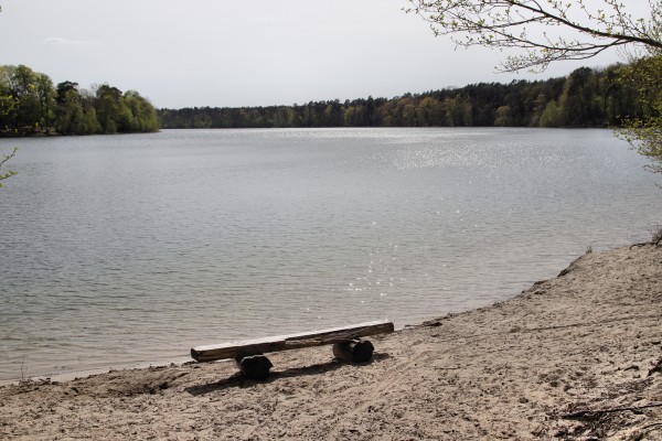 Straussee