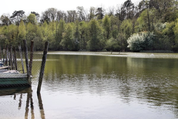 Straussee