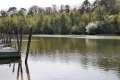 Straussee