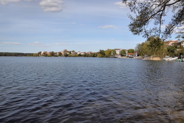 Straussee