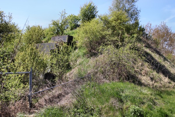 Bunker