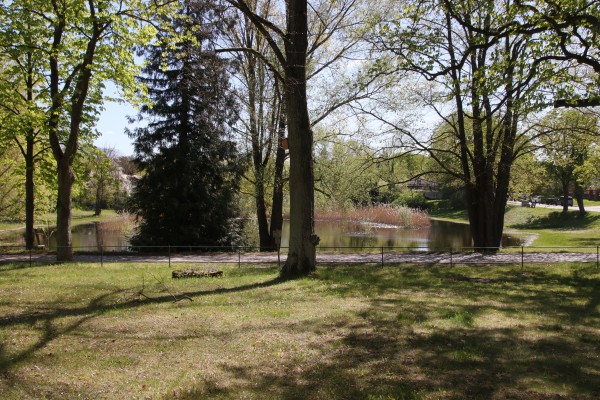 Dorfteich