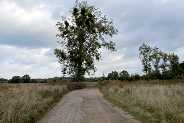 Dyrotzer Weg