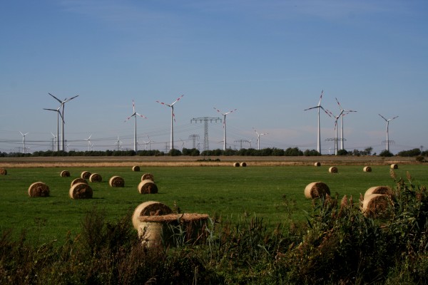 Nauener Platte